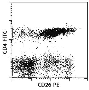 CD26 Antibody, anti-human, PE