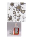 Cervical cancer Organoid Kit宫颈癌