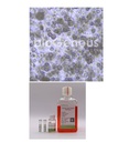 Esophagus Cancer Organoid Kit食道癌