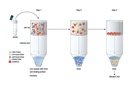 Active Rac1 Detection Kit