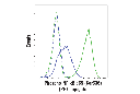 Phospho-NF-κB p65 (Ser536) (93H1) Rabbit mAb (PE Conjugate)