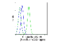Phospho-Stat5 (Tyr694) (C71E5) Rabbit mAb (Alexa Fluor 488 Conjugate)