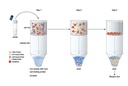 Active Cdc42 Detection Kit