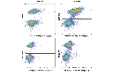 CD86/B7-2 (GL-1) Rat mAb (FITC Conjugate)